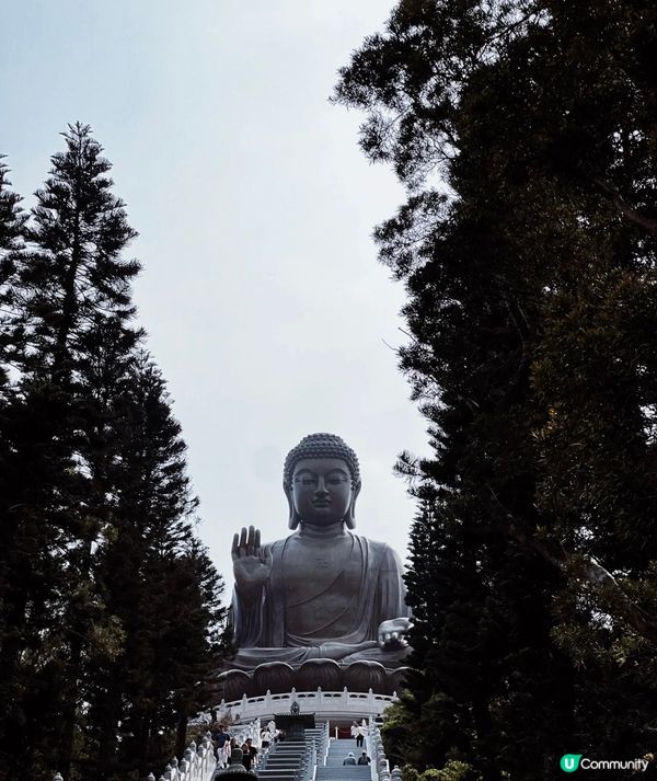 不同角度看大佛，天壇大佛的對面就是寶蓮禪寺，佛像座落千海拔 ...