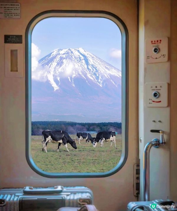 去了河口湖 （山梨県）周邊和富士宮市（靜岡具）周邊。