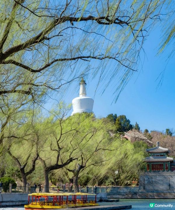 北海公園很大，繞彎整個園區登上白塔，差不多3-4個小時，海面...