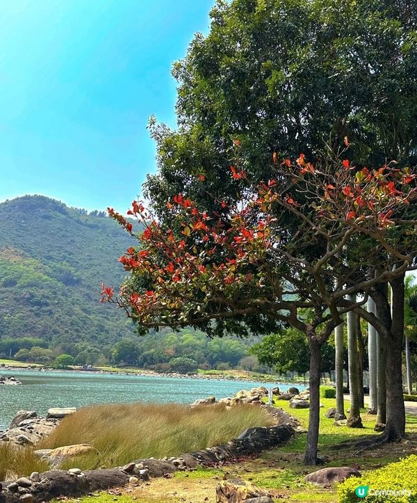 那麼好的天氣怎麼捨得在家裡