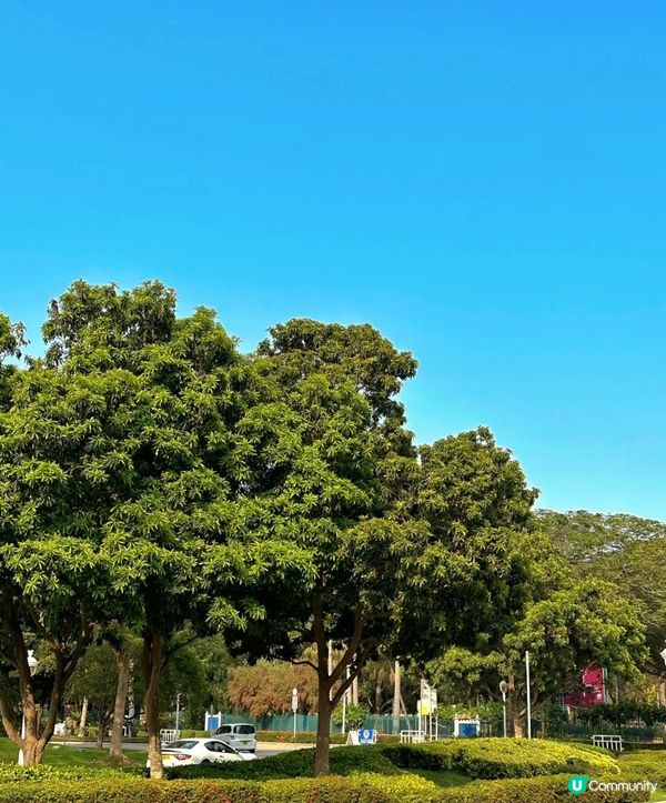 那麼好的天氣怎麼捨得在家裡