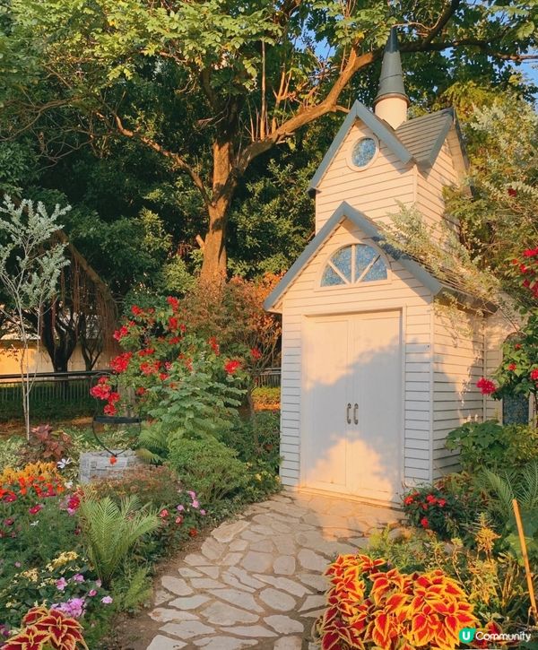 香港|荔枝角公園拍照打卡熱點