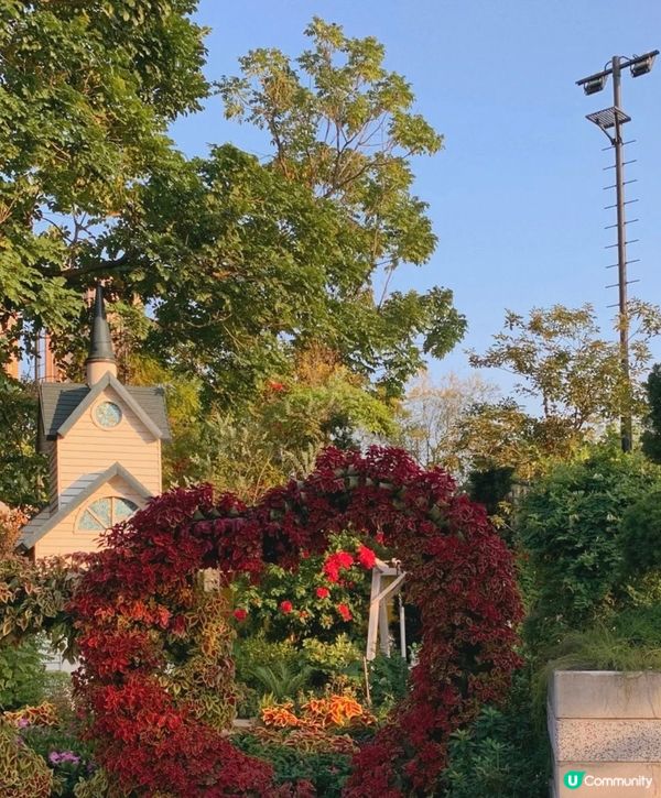 香港|荔枝角公園拍照打卡熱點