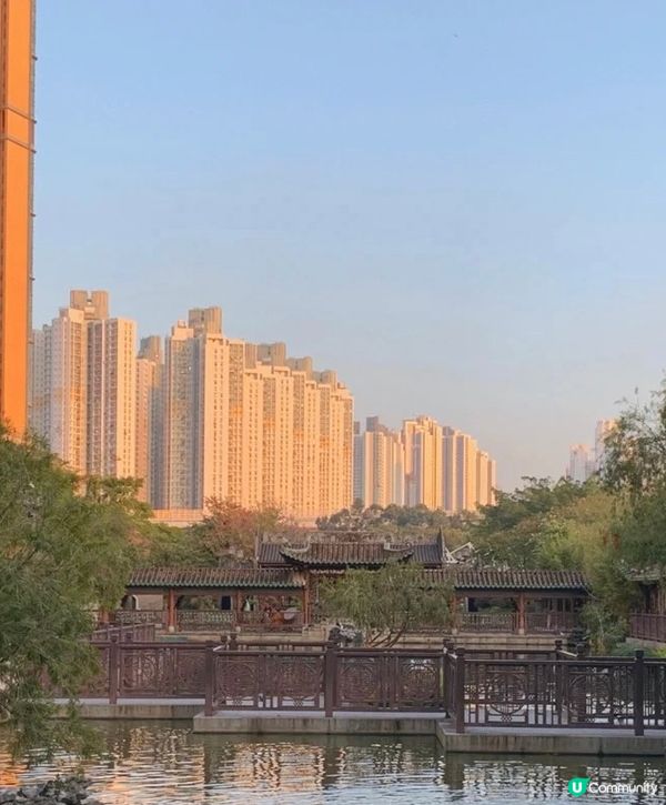 香港|荔枝角公園拍照打卡熱點