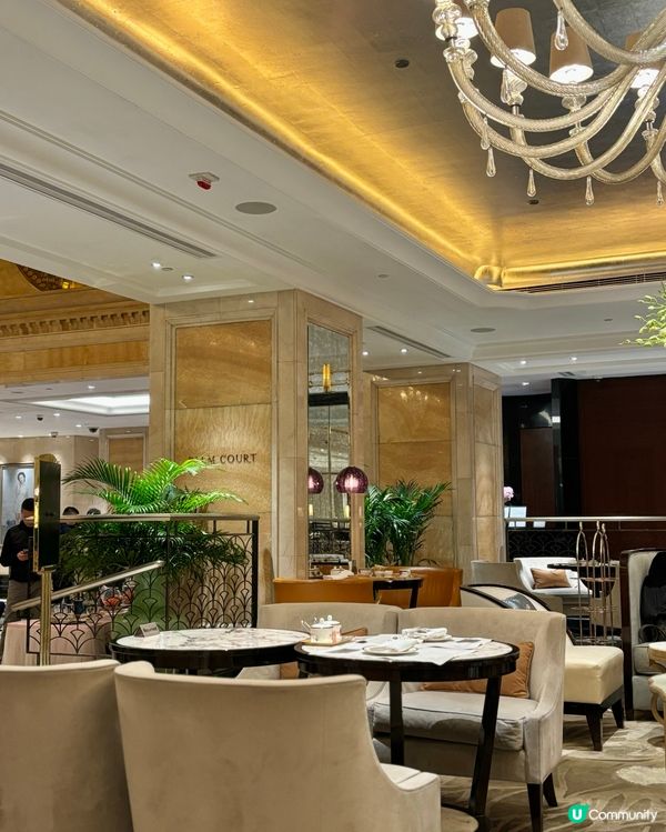 ɴᴇsᴘʀᴇssᴏ ᴀғᴛᴇʀɴᴏᴏɴ ᴛᴇᴀ🤎