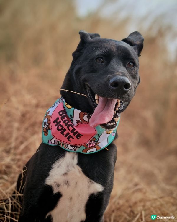 行山去石礦場，傾斜路線好刺激！⛰️📸