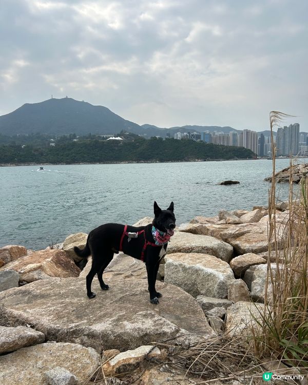 行山去石礦場，傾斜路線好刺激！⛰️📸