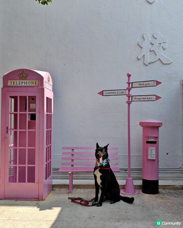 行山去石礦場，傾斜路線好刺激！⛰️📸