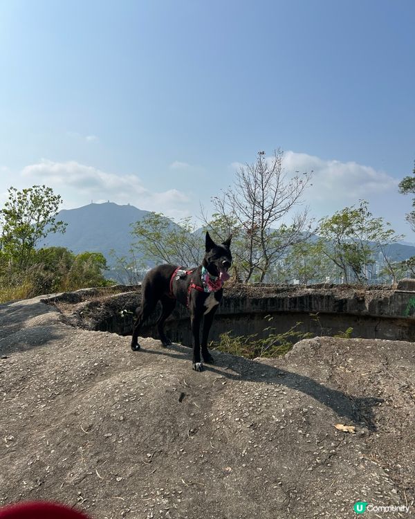 行山去石礦場，傾斜路線好刺激！⛰️📸