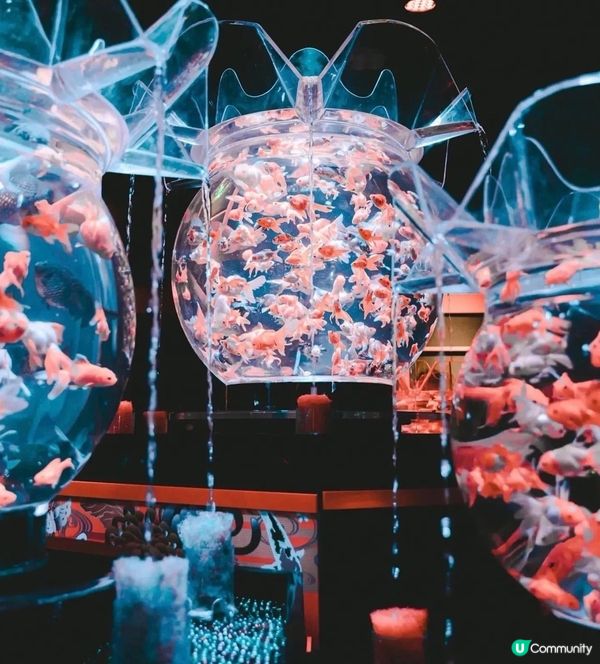 《日本橋藝術水族館》位於東京日本橋的一座別具特色的水族館