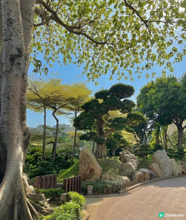 香港這麼寸士寸金的地方居然還有這麼一個絕美的中式園林，還免費...