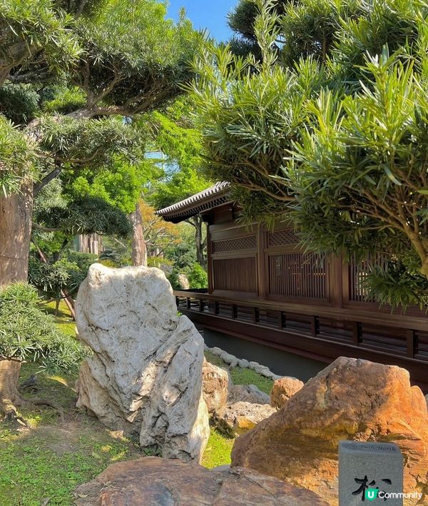 香港這麼寸士寸金的地方居然還有這麼一個絕美的中式園林，還免費...