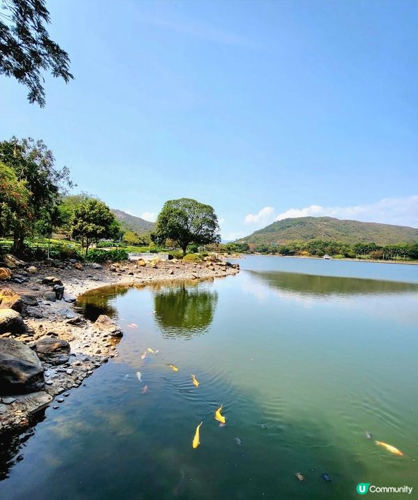 花季正濃，到處花海美不勝收，迪欣湖也不例外。