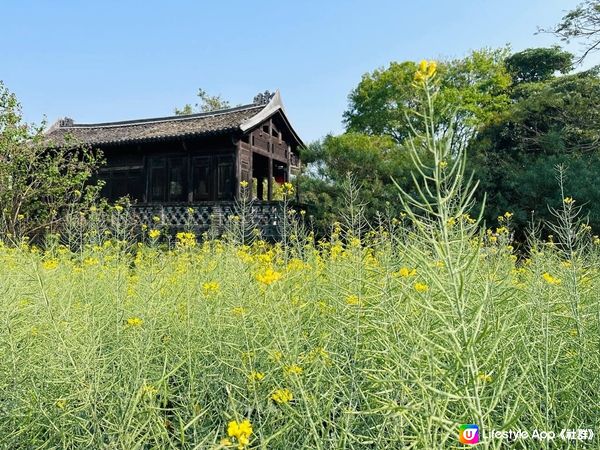 陶冶一下節操，培養一下藝術細菌…