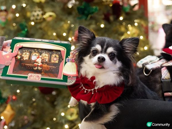 𝓗𝓸 𝓗𝓸 𝓗𝓸 ~ 𝓜𝓮𝓻𝓻𝔂 𝓒𝓱𝓻𝓲𝓼𝓽𝓶𝓪𝓼🎄...