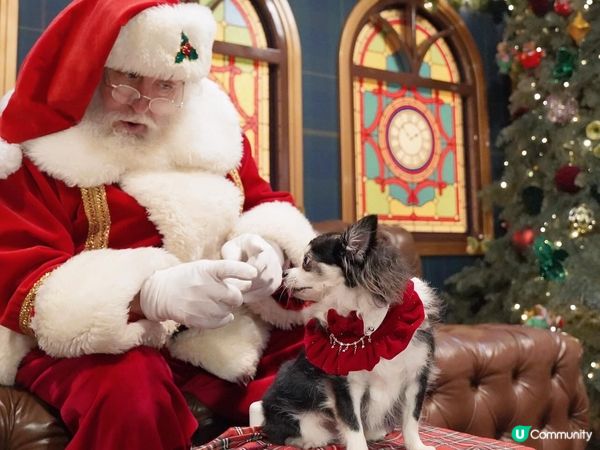 𝓗𝓸 𝓗𝓸 𝓗𝓸 ~ 𝓜𝓮𝓻𝓻𝔂 𝓒𝓱𝓻𝓲𝓼𝓽𝓶𝓪𝓼🎄...