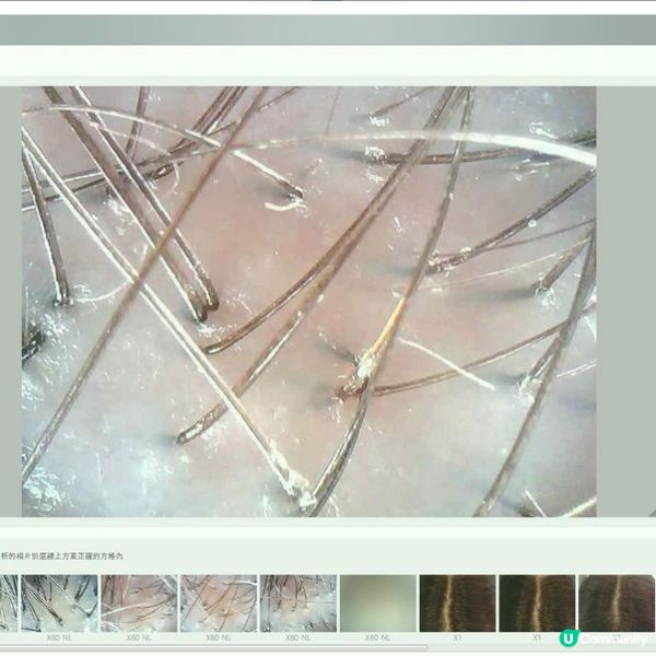 森髮研究所中心