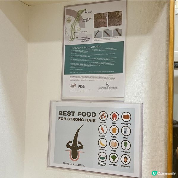 森髮研究所中心