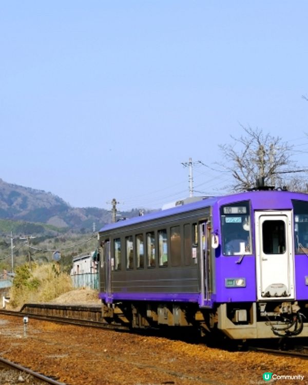 🇯🇵青春18車票改玩法🤔
