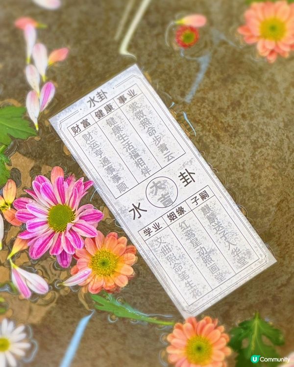 板前小吉 就是過來食海膽💕 