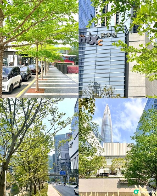 灣區春日Relax chill！科技感拉滿🤩