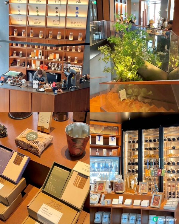 灣區春日Relax chill！科技感拉滿🤩