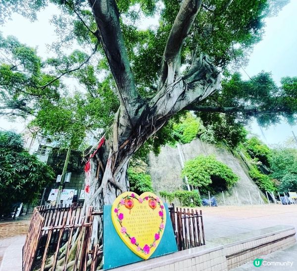 海鮮餐 - 鯉魚門南大門· 鯉魚門一日遊