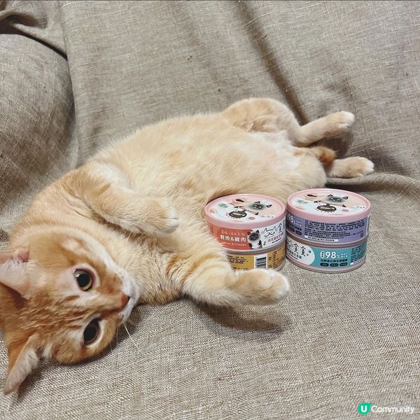 Munchee 肉泥機能主食罐