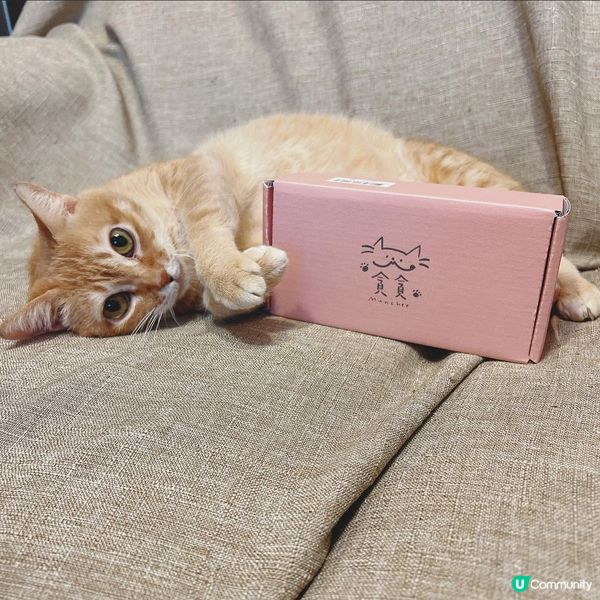 Munchee 肉泥機能主食罐