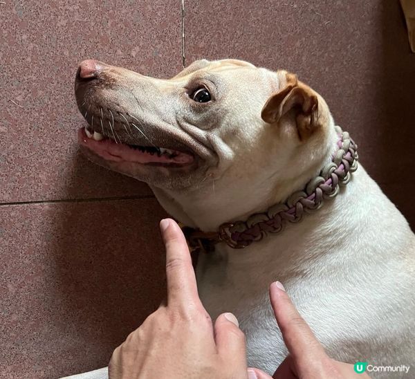 原來表情紋唔止女人有😇