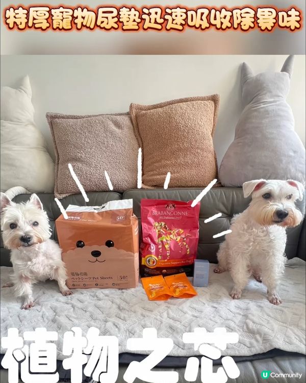 超級除臭吸尿更快狗狗尿墊