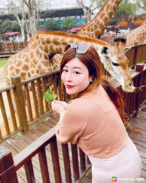 💖上海野生動物園💖 中意同動物互動嘅你真心必去💕