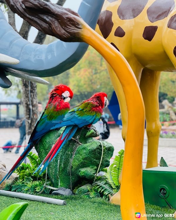 💖上海野生動物園💖 中意同動物互動嘅你真心必去💕