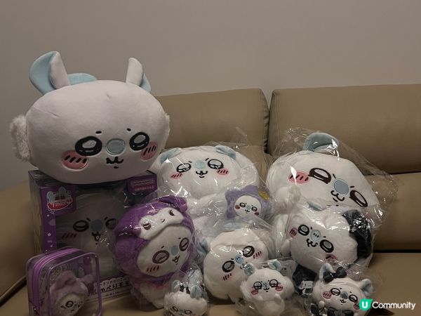 大愛飛鼠(⁎⁍̴̛ᴗ⁍̴̛⁎)