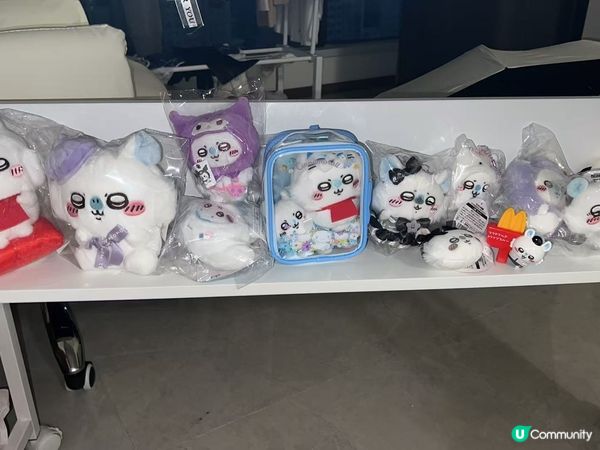 大愛飛鼠(⁎⁍̴̛ᴗ⁍̴̛⁎)