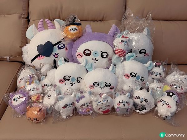 大愛飛鼠(⁎⁍̴̛ᴗ⁍̴̛⁎)