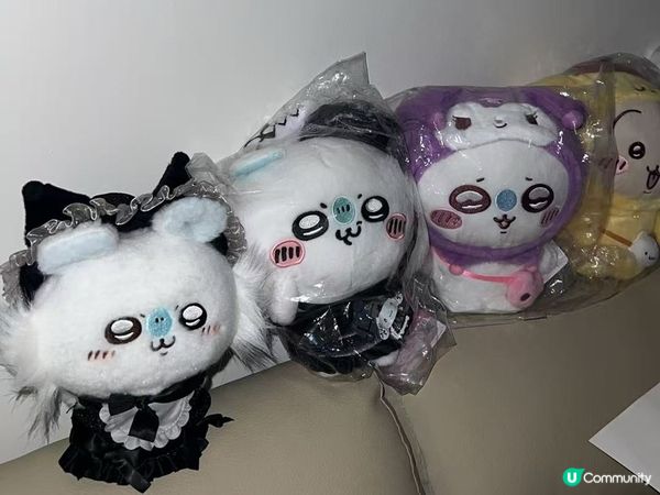 大愛飛鼠(⁎⁍̴̛ᴗ⁍̴̛⁎)