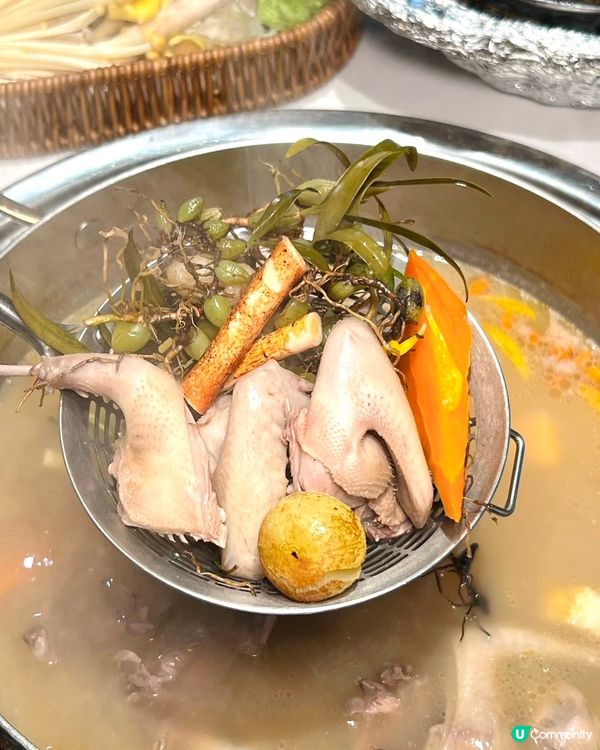 港人北上15 分鐘直達的乳鴿專門店｢大鴿發｣
