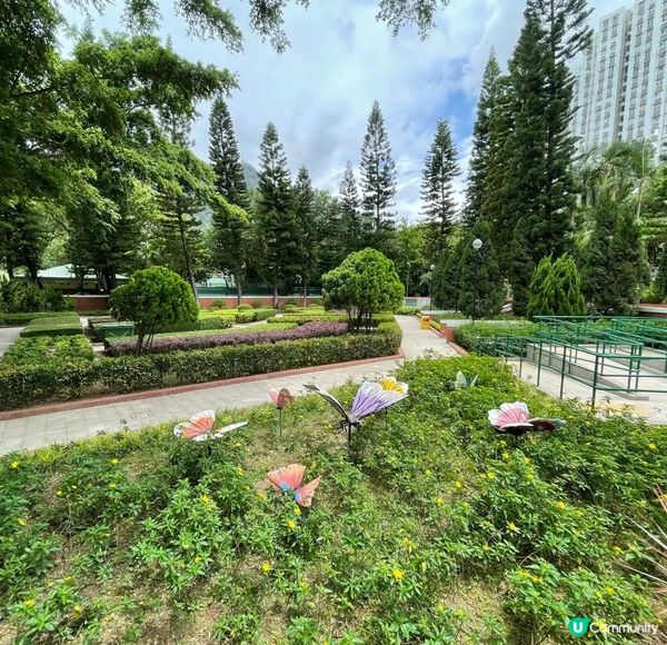 今日介紹一個賞花好地方「蝴蝶灣公園」公園地方很大環境優美，鳥...