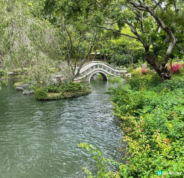 今日介紹一個賞花好地方「蝴蝶灣公園」公園地方很大環境優美，鳥...