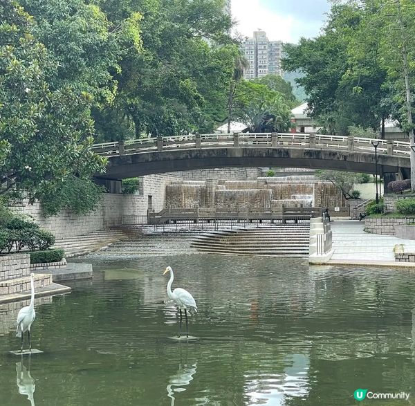 屯門公園有個賞花好地方 （香花園）這個西式園景內種植了七彩繽...