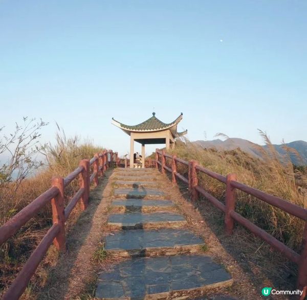 虎山位於大澳，從虎山行山徑起步點走約