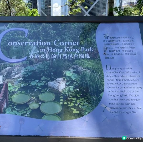 位於香港公園「人工湖」設立了一個蜻蜓自然保育園地，這是整個園...