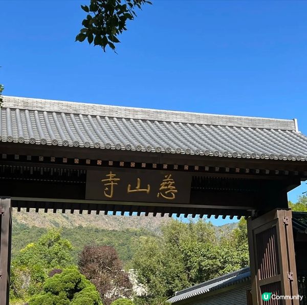 呢個《慈山寺》整座寺廟不是走華貴路線，而是根據唐代寺廟而建成...