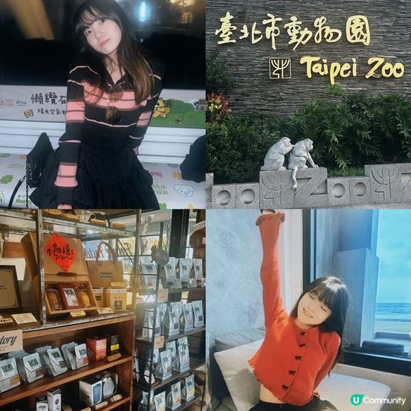 去旅行上網唔使驚 ✈️  $98/月數據任用