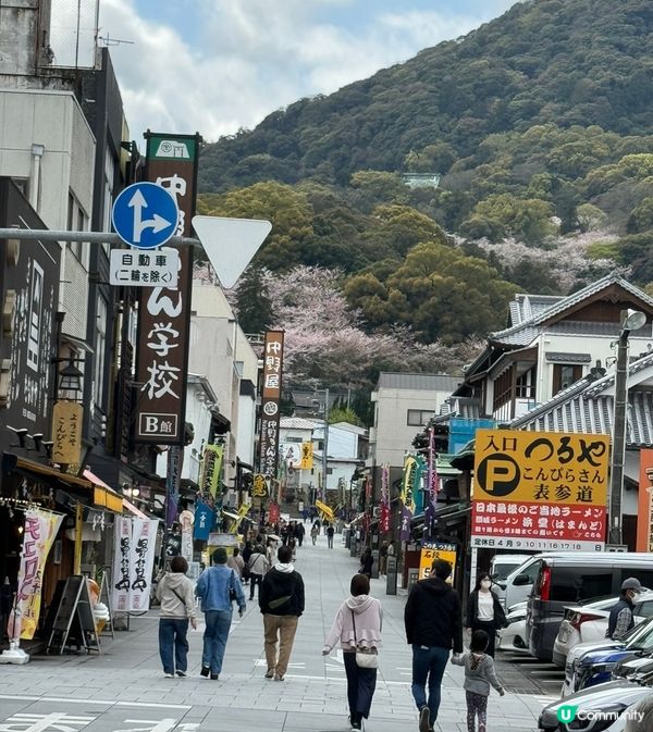 我要介紹嘅就係金都比羅宮位於高松，一個好考體力嘅地方要行不知...