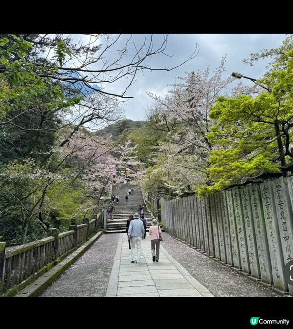 我要介紹嘅就係金都比羅宮位於高松，一個好考體力嘅地方要行不知...