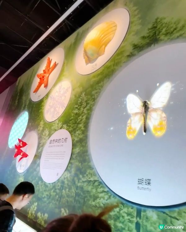 親子必去！光明新地標🚀深圳科學科技館！