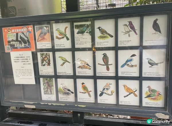 呢個位於元朗公園內的 《百鳥塔》是一個以開放式，免費可供遊人...