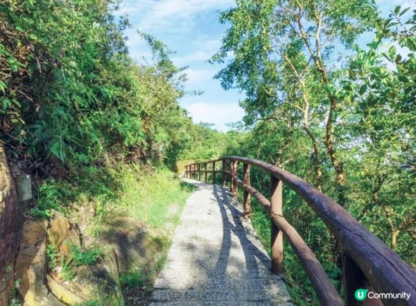 呢條《青衣自然徑》係一條輕鬆易走嘅遠足路線，登頂後可以將青衣...